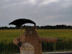 -嘉北郊野公园