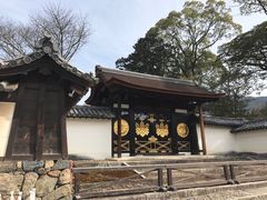 -醍醐寺
