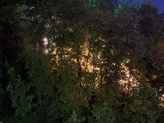 -花水湾第一村温泉大酒店