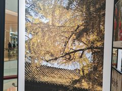 -王府井百货熙地港店