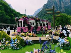 -云台山风景名胜区