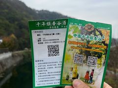 -千年银杏谷文化旅游区
