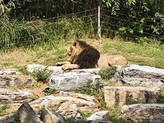 -北京野生动物园