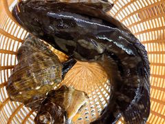 -鑫鸿达·海鲜闽菜热炒小馆(中山路店)