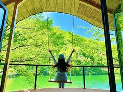 -龙道沟景区