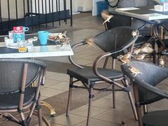 -麦哲伦丝绸度假村