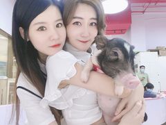 -猪盟咖啡店(玖洲道店)