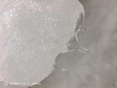 -沈阳奥体冰雪嘉年华