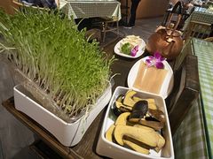 -番食园鲜食火锅(高新店)