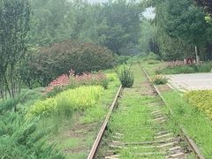 -永定河休闲森林公园