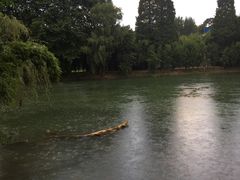 -贵阳市花溪国家城市湿地公园