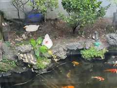 -北园酒家(小北路店)