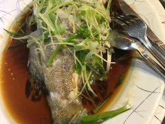 -糖朝(尖沙咀店)