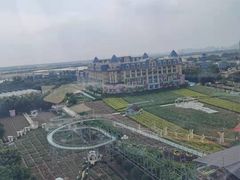 -百万葵园