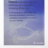 皇家bc博物馆：新的虎鲸展