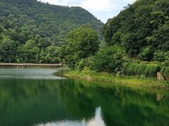 -桃花岭景区