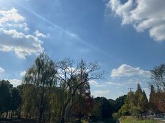 -嘉北郊野公园