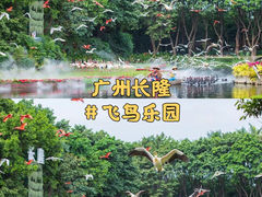 -广州长隆旅游度假区