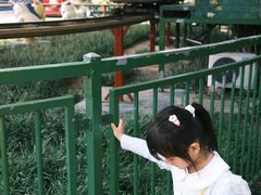 -济南方特东方神画