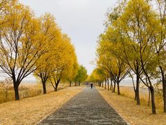 -野鸭湖国家湿地公园
