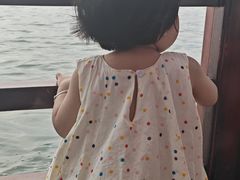 -西湖游船