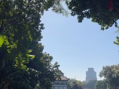 -荔湾湖公园