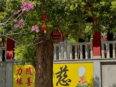 -天竺岩寺