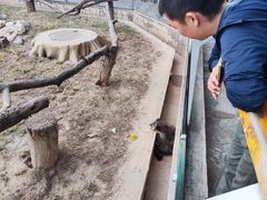 -石家庄市动物园