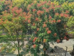 -同济大学(嘉定校区)