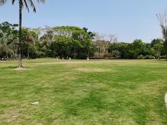 -中国科学院西双版纳热带植物园