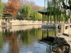 -教师之家赵家羊汤馆(东青龙街店)