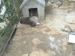 -黔灵山公园-南门售票处