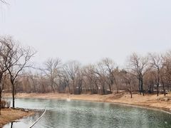 -晋祠公园