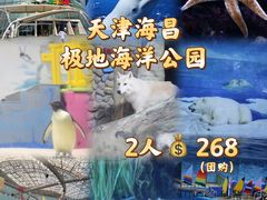 -海合安天津极地海洋公园