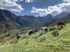-硗碛藏寨·神木垒景区