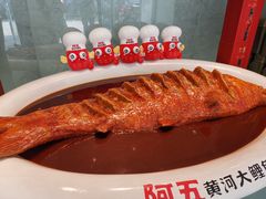 -阿五黄河大鲤鱼(英协路店)