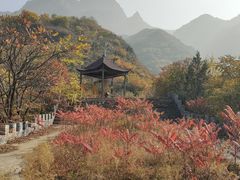 -云岫谷游猎自然风景区