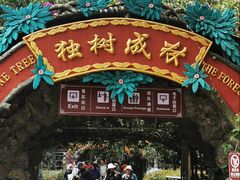 -独树成林