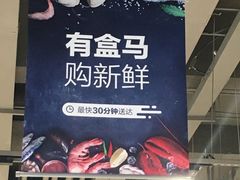 -绚荟城