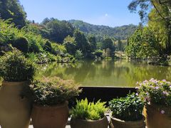 -深圳仙湖植物园