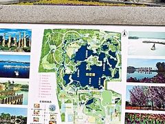 -石家庄市植物园