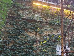 -宅里香.自然餐厅(湘大店)