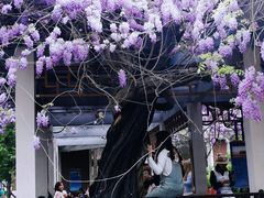 -郑和公园