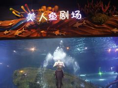 -太奥幻太奇海洋馆
