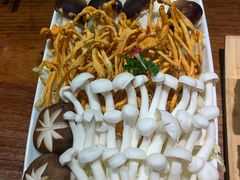 -慢丽江·云南野生菌土鸡锅(付家庄店)
