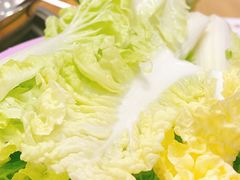 -力哥地道海南菜·联谊文昌鸡老店