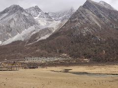 -稻城亚丁景区-冲古草甸
