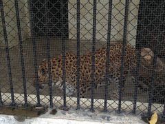 -泉州海丝野生动物世界