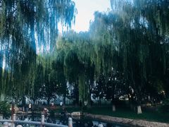 -丰台科技园生态主题公园
