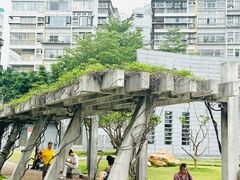 -石炮台公园